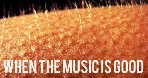 Why Do We Get Goosebumps When Listening to Music, and Why Do Cats Always Land on Their Feet?